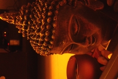 IMG_20140217_024237-Copy-2