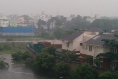 IMG_20141020_095333-1